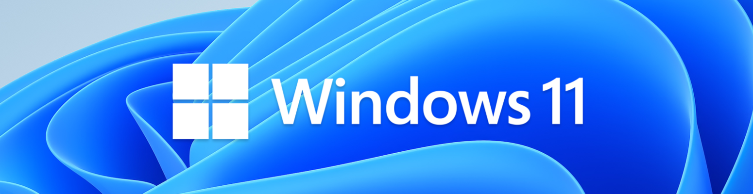 Microsoft Windows 11 – how about the licensing?  Quexcel EN
