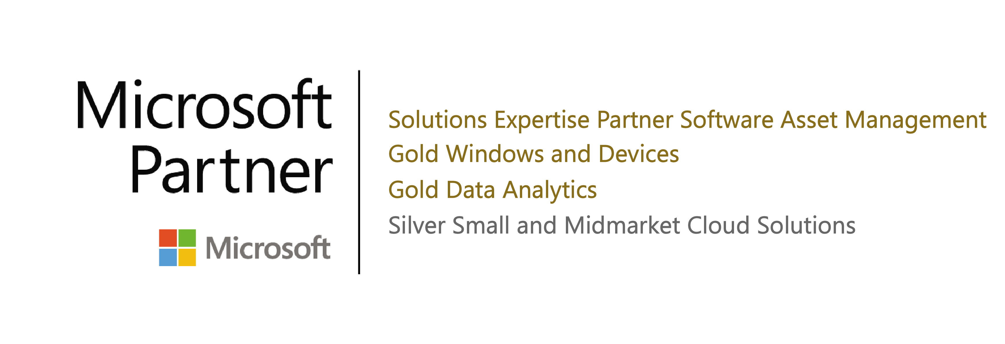 Quexcel Microsoft Gold Competency Partner